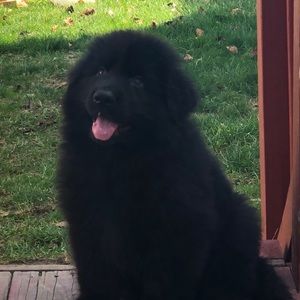 Meet your Posher, Kaden